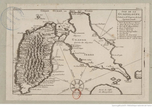 Guadeloupe’s Coffee Journey: From Colonial Times to Modern Revival