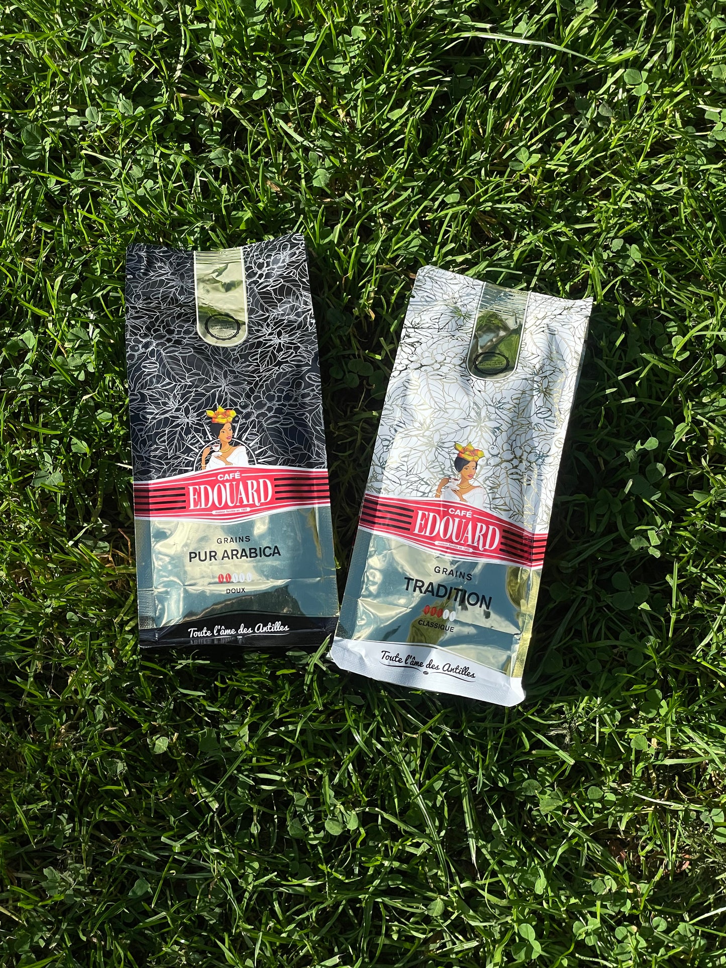 Café ÉDOUARD Discovery – Your Introduction to Guadeloupe Coffee