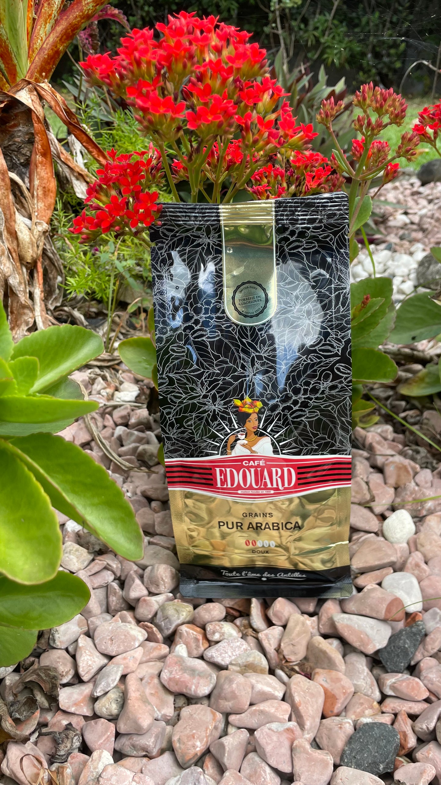 Pur Arabica Café EDOUARD