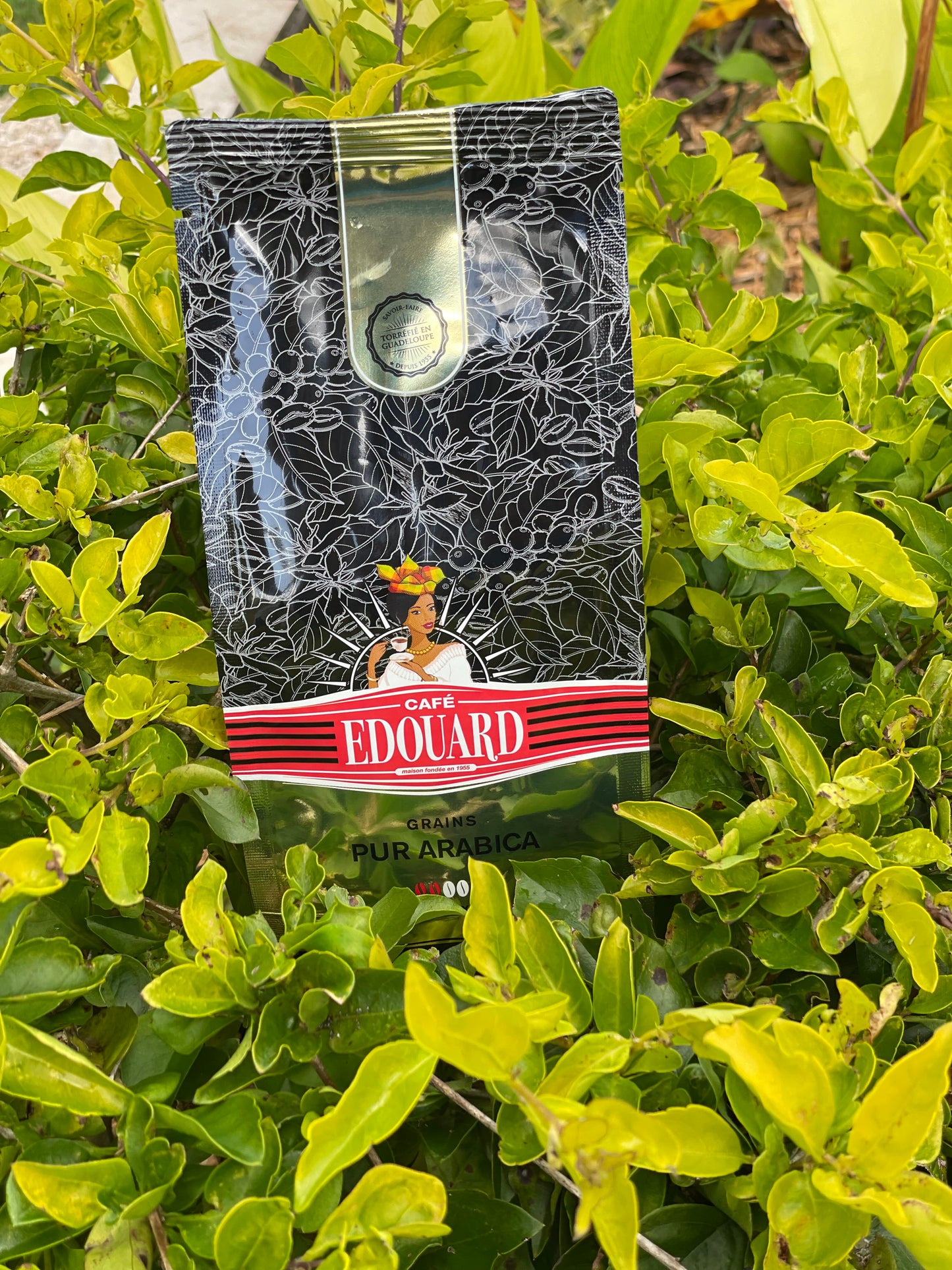Pur Arabica Café EDOUARD